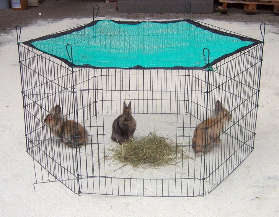 Freigehege Grün Mit Tür 60 X 63cm 6tlg. 1 Freigehege Grün Mit Tür 60 X 63cm 6tlg.