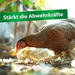 Röhnfried Vitamin ADEC 100ml -Muhle Gladen Geschaft 30139 vitamin adec 250ml 04