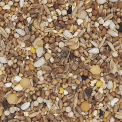 Gladen - Turteltaubenfutter - 5kg