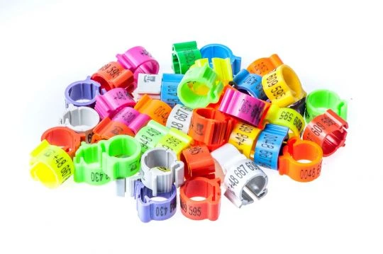 Kennringe Mit Telefonnummer Ø 8mm 50 Stück 1 Kennringe Mit Telefonnummer Ø 8mm 50 Stück