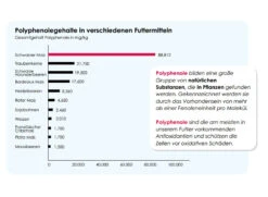 Versele Master Witwer 20kg -Muhle Gladen Geschaft antioxidantien 11