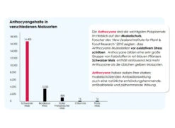 Versele Master Witwer 20kg -Muhle Gladen Geschaft antioxidantien 21