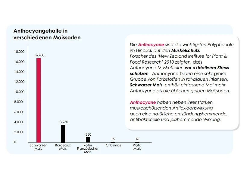 Versele Master R Exclusiv 20kg 4 Versele Master R Exclusiv 20kg – Bild 4