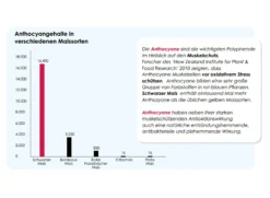 Versele Junior Plus I.C.⁺ 20kg 7 Versele Junior Plus I.C.⁺ 20kg -Muhle Gladen Geschaft antioxidantien 27