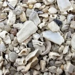 Backs - Siegergrit - Zusatzfutter Für Tauben - 10kg