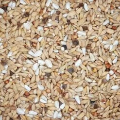 Beyers - Nr. 23 Säuberung - Taubenfutter - 20kg