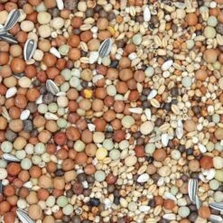 Beyers 48 - Olympia Zucht- & Jungtauben Ohne Mais 25kg