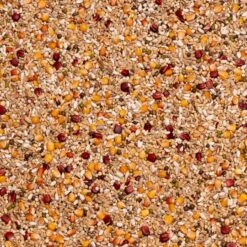 Beyers - Sport Light Galaxy - Taubenfutter - 20kg - Promo