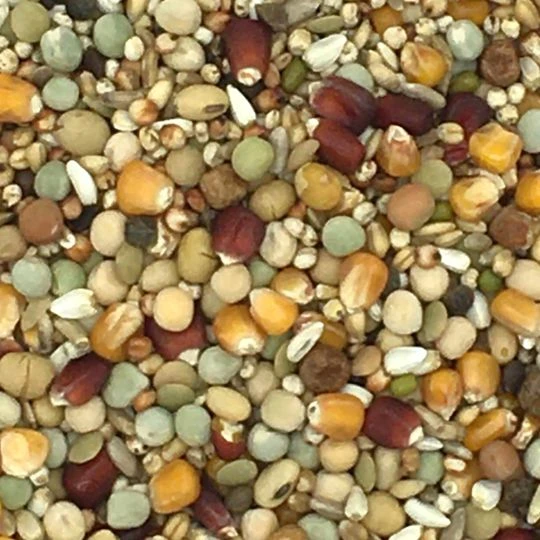 Beyers - Galaxy Zucht - Taubenfutter - 20kg 1 Beyers - Galaxy Zucht - Taubenfutter - 20kg