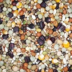 VERSELE-LAGA Versele - Start Plus Black Label - Taubenfutter - 20kg