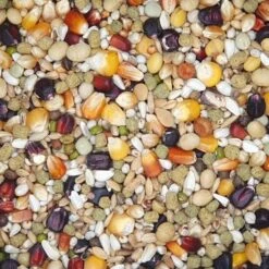 VERSELE-LAGA Versele - Plus Black Label Superstar - Taubenfutter - 20kg