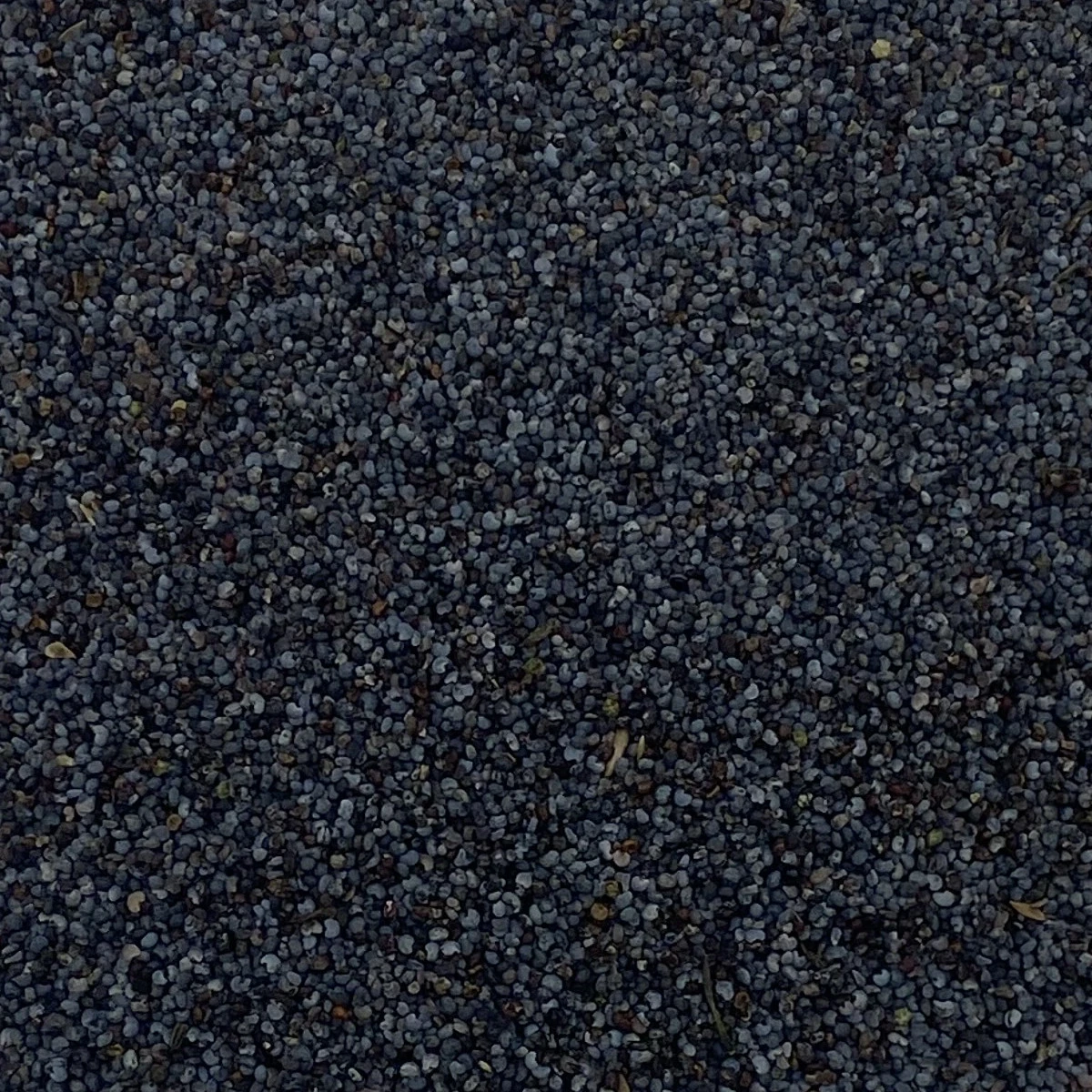 Blaumohnsamen - Vanrobaeys 25kg 1 Blaumohnsamen - Vanrobaeys 25kg