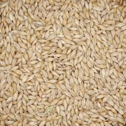 Gladen - Braugerste Südfranzösisch - 5kg