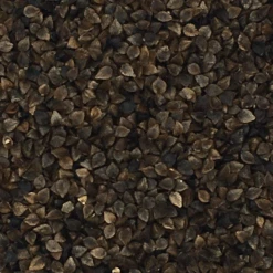 Buchweizen - Matador 25kg