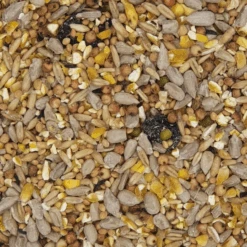 VERSELE-LAGA Clean Garden Schalenlos - Versele Nature 10kg + 1kg GRATIS Promo