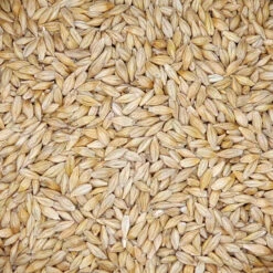 Gladen - Gerste Gestutzt - 25kg