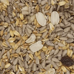 Gladen - Wildvogelfutter Exclusiv Ohne Schalen - 2,5kg