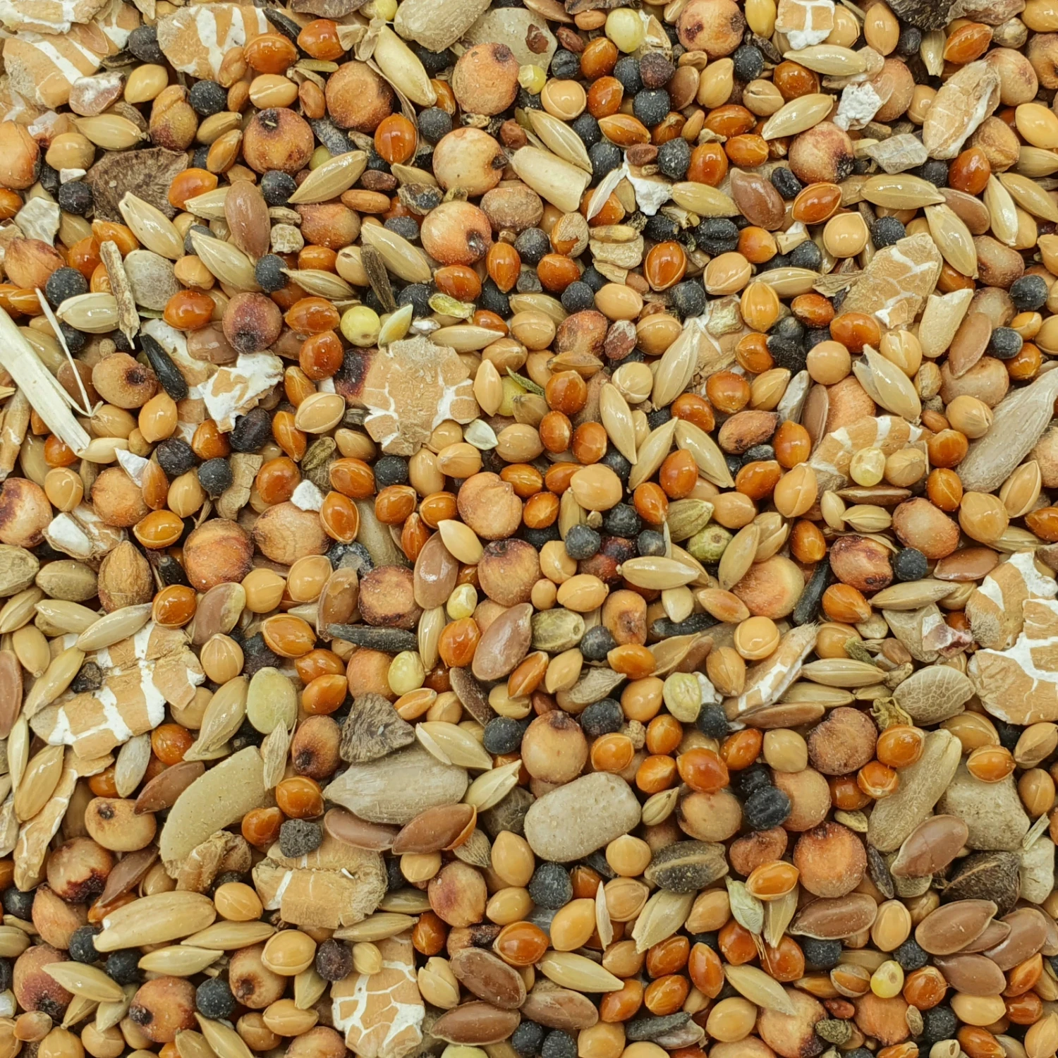 Gevo Wald- & Wildvogelfutter 25kg 1 Gevo Wald- & Wildvogelfutter 25kg