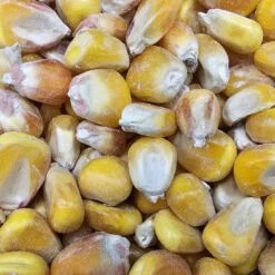 Gladen - Mais - Futtergetreide - 25kg