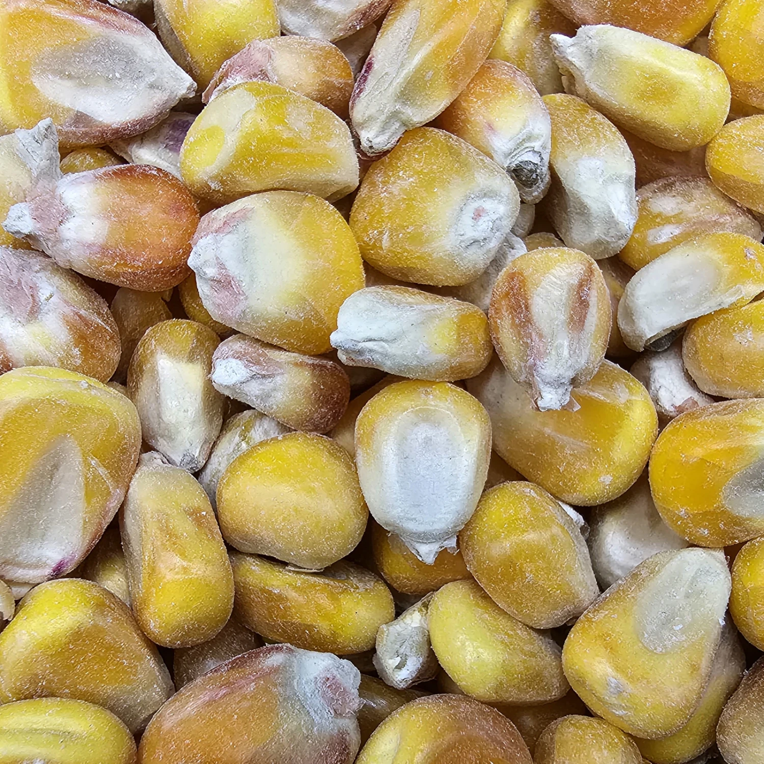 Gladen - Mais - Futtergetreide - 25kg 1 Gladen - Mais - Futtergetreide - 25kg