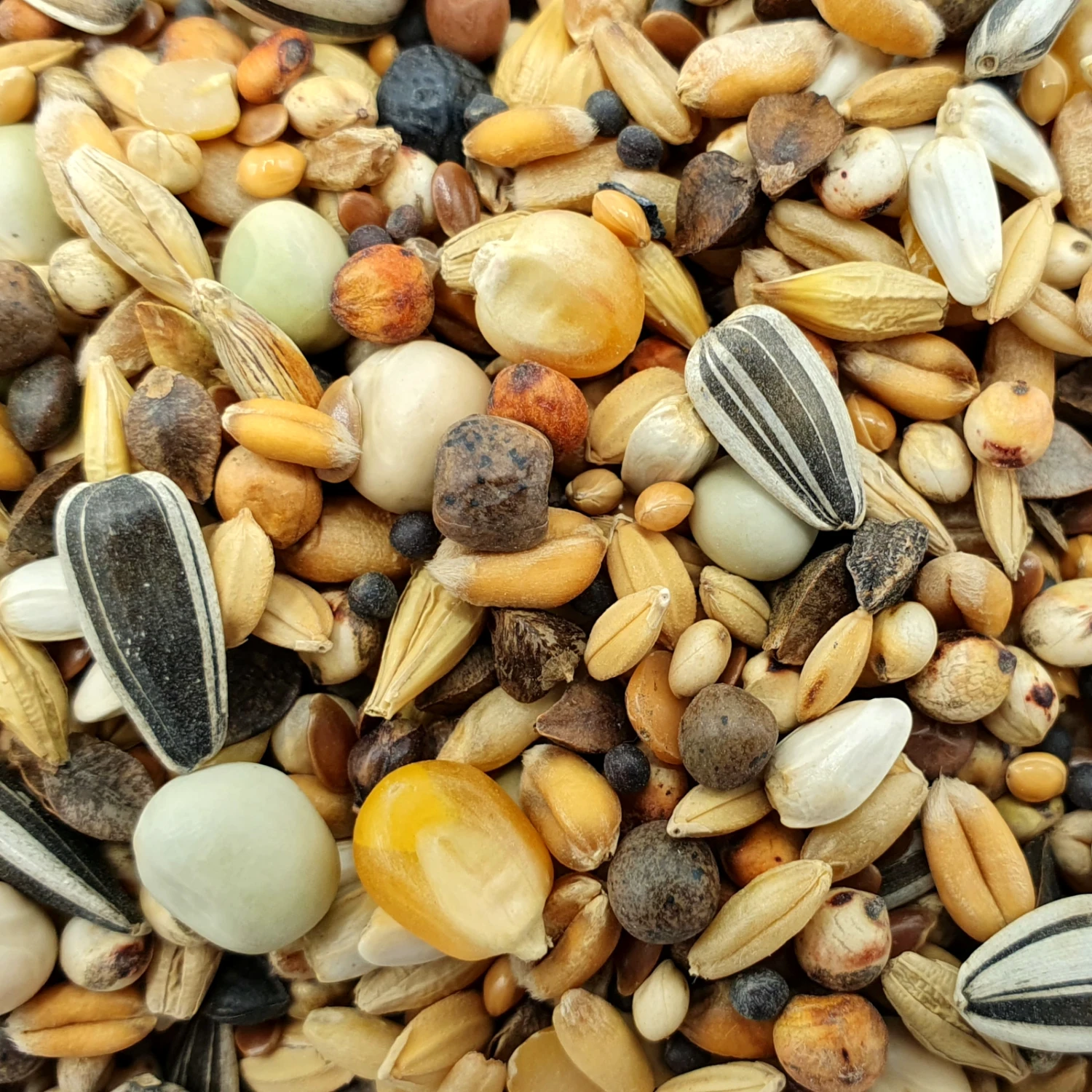 Gladen Rassetaubenfutter Usbeken 25kg 1 Gladen Rassetaubenfutter Usbeken 25kg