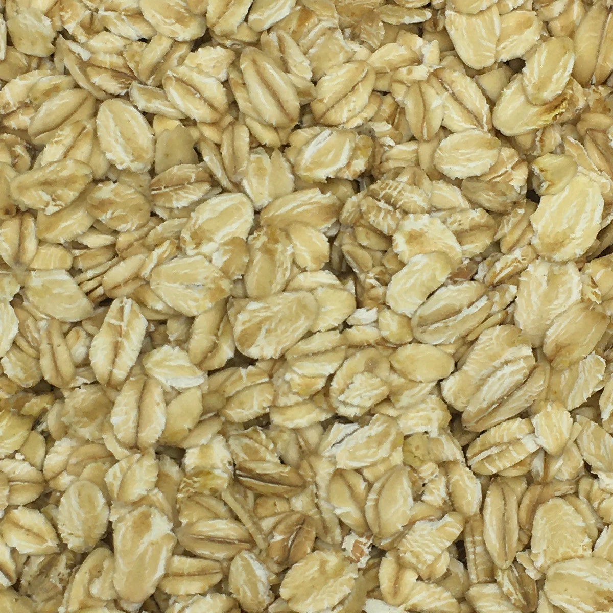 VERSELE-LAGA Haferflocken - Versele 25kg 1 VERSELE-LAGA Haferflocken - Versele 25kg