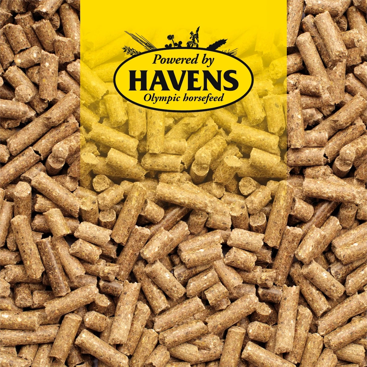 Havens Basis-Sportbrok 25kg 2 Havens Basis-Sportbrok 25kg – Bild 2