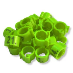 Kennringe Nummeriert 50 Stück - Grün 8x8mm