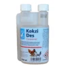 Backs Kokzi Des Konzentrat 250ml