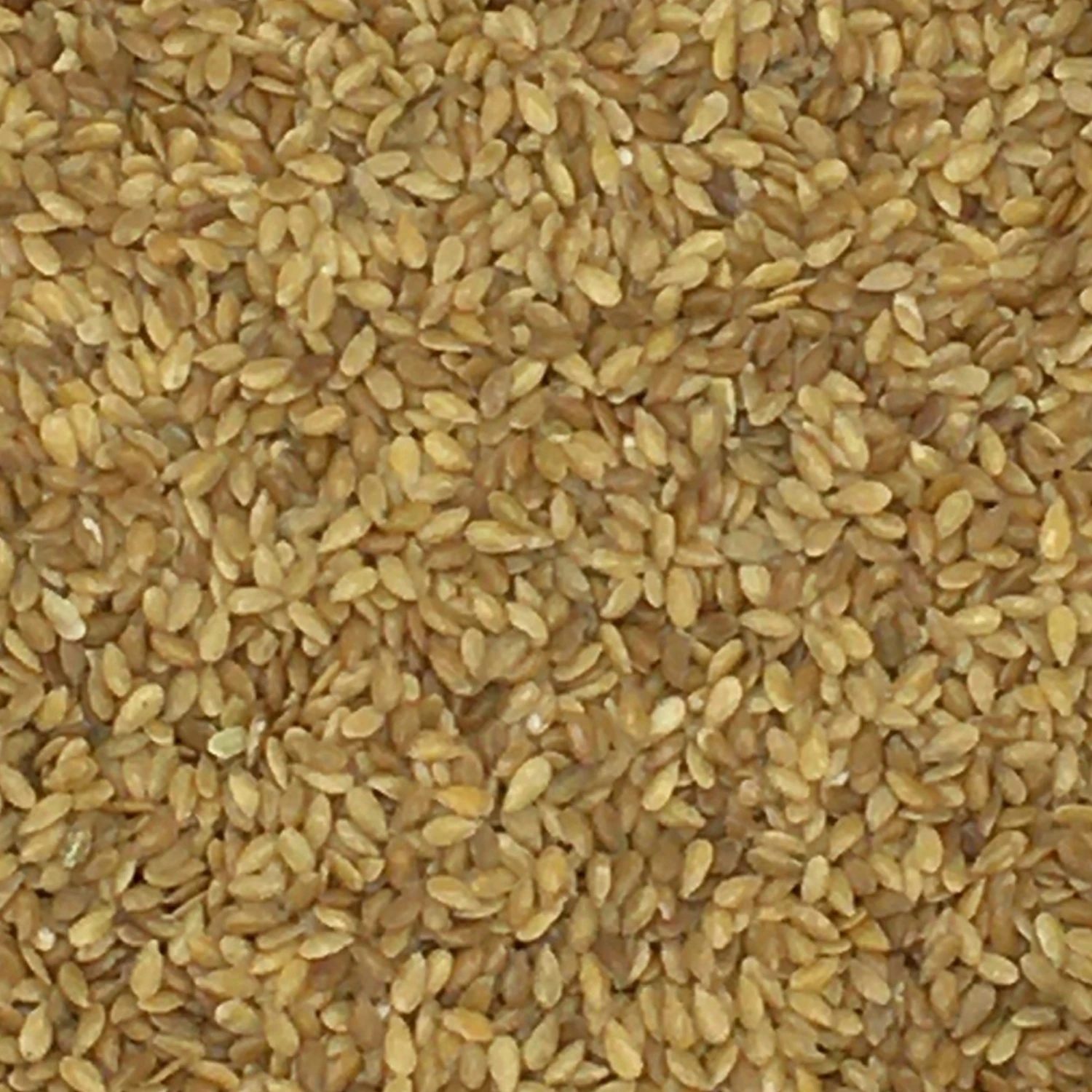 Leinsamen Gelb - Vanrobaeys 25kg 1 Leinsamen Gelb - Vanrobaeys 25kg