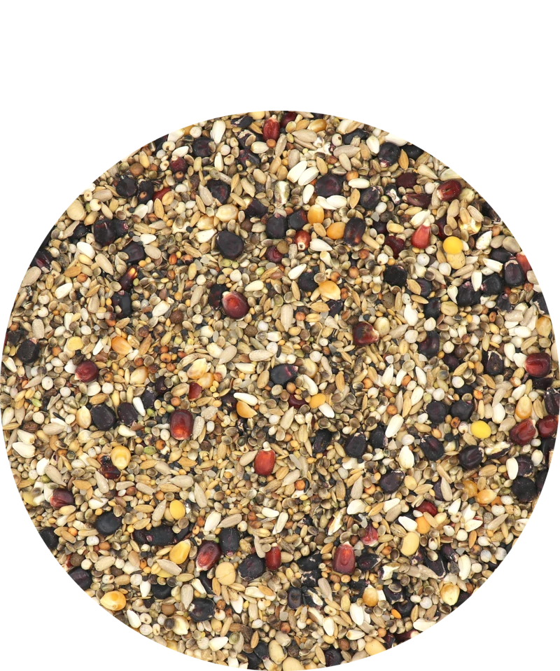 Versele Master R Exclusiv 20kg 1 Versele Master R Exclusiv 20kg