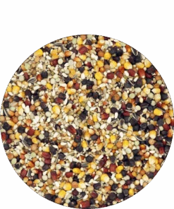 Versele Master Witwer 20kg