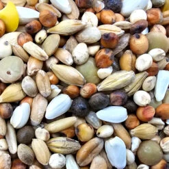 Matador - RT Kröpfer Klein - Taubenfutter - 25kg