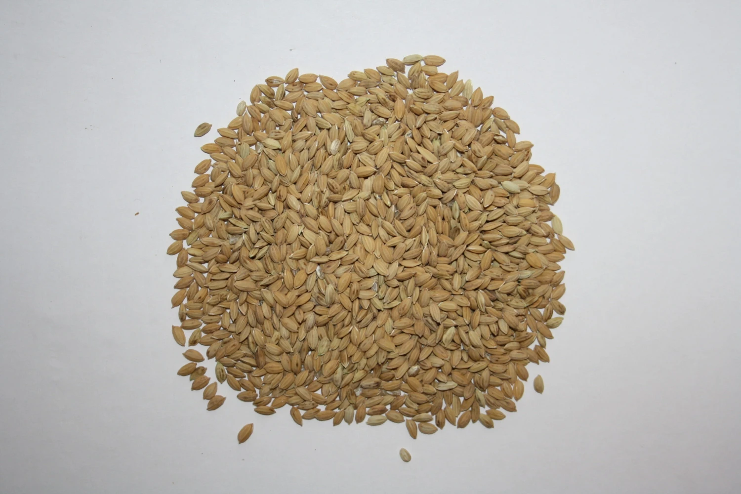 Paddyreis - Vanrobaeys 20kg 1 Paddyreis - Vanrobaeys 20kg