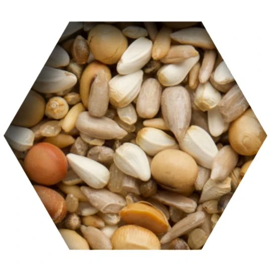 Beyers - Premium Super Energie - Zusatzfutter Für Tauben - 2,5kg 2 Beyers - Premium Super Energie - Zusatzfutter Für Tauben - 2,5kg – Bild 2