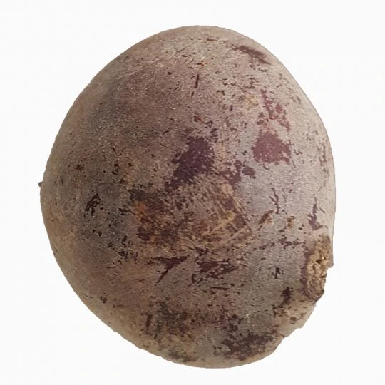 Rote Bete Knollen 15kg 2 Rote Bete Knollen 15kg – Bild 2