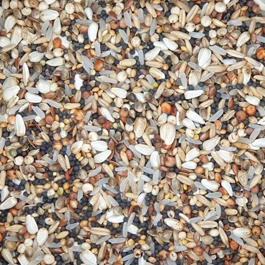 Gladen - Sämereien - Zusatzfutter Für Tauben - 5kg 1 Gladen - Sämereien - Zusatzfutter Für Tauben - 5kg