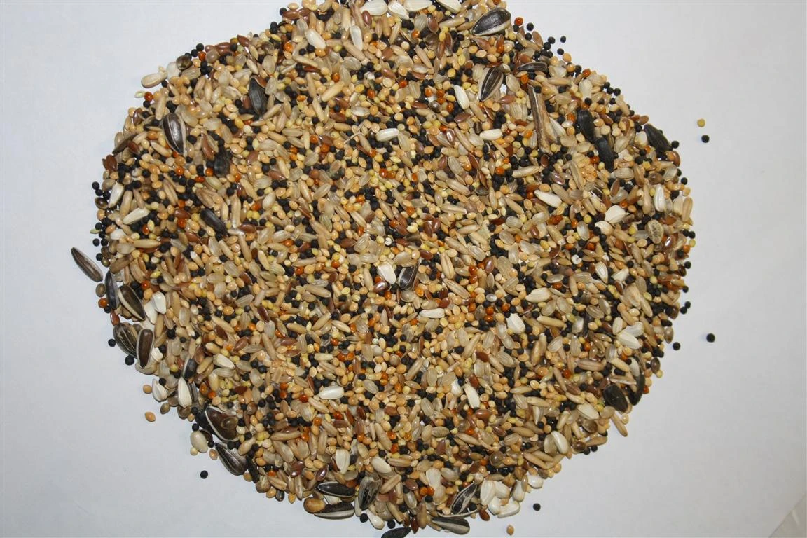 Spinne Rennfutter - Ölsämereien 20kg 1 Spinne Rennfutter - Ölsämereien 20kg