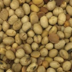 Soja GVO-frei - Gladen 2,5kg