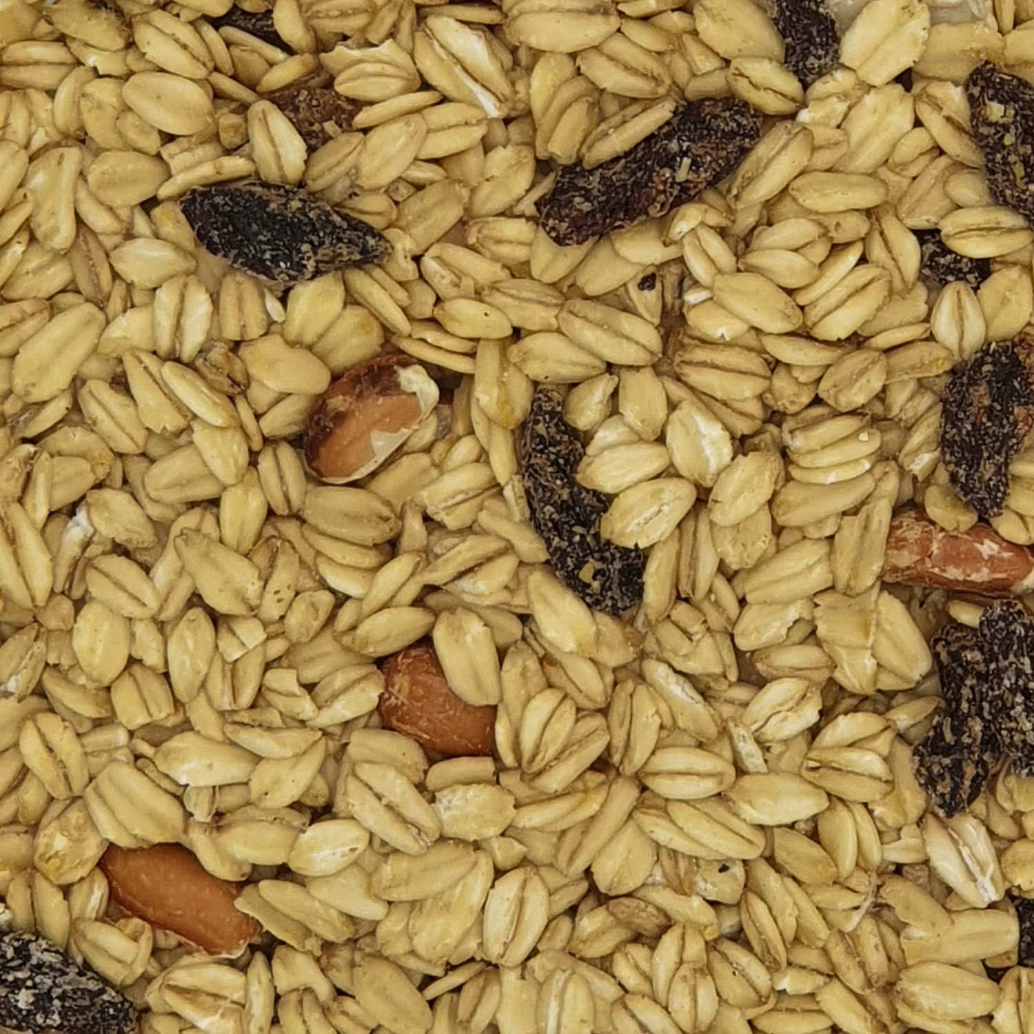 Spinne Fettfutter 25kg 1 Spinne Fettfutter 25kg