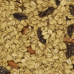 Gladen - Wildvogelfutter Fettreich Mit Rosinen - 2,5kg