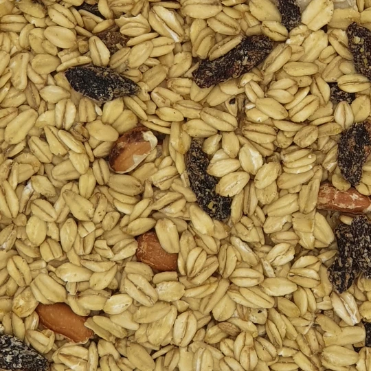 Gladen - Wildvogelfutter Fettreich Mit Rosinen - 2,5kg 1 Gladen - Wildvogelfutter Fettreich Mit Rosinen - 2,5kg