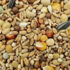 Spinne Jungtauben Reise Mit Soja 25kg