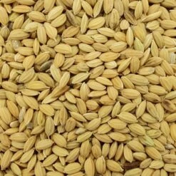 Gladen - Paddyreis - 5kg