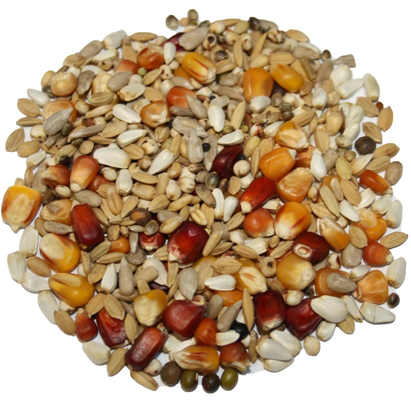 Beyers Galaxy Sport Light 20kg 1 Beyers Galaxy Sport Light 20kg