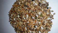 Paloma Nr.24 Diamond Sämereien 20kg