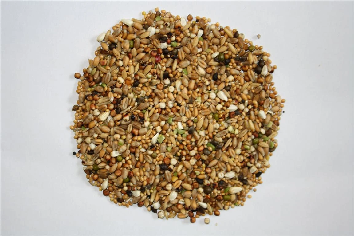 Versele Turteltaubenfutter Prestige 20kg 3 Versele Turteltaubenfutter Prestige 20kg – Bild 3