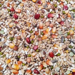 Vanrobaeys - Nr.55 Mauser Pro - Revolution - 22kg - Promo