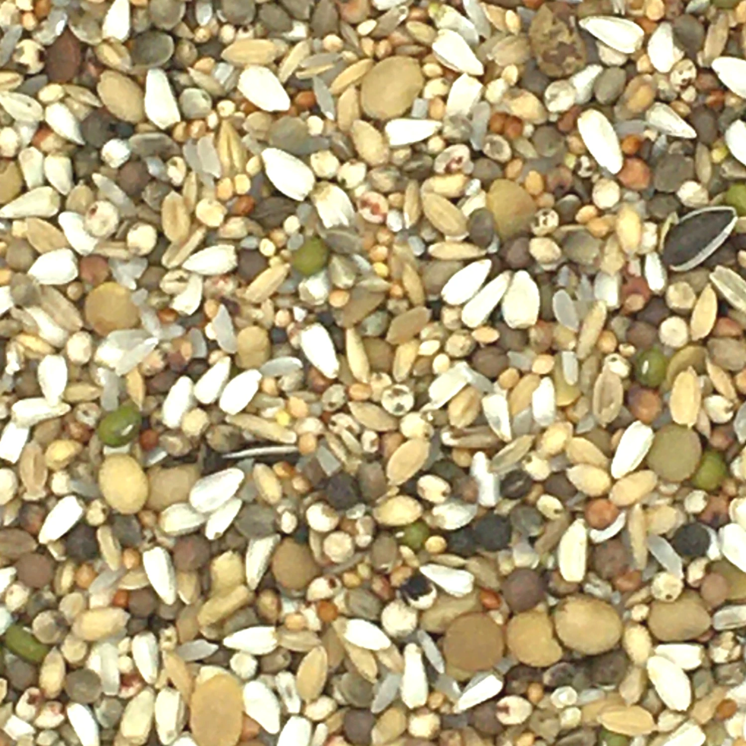 Vanrobaeys Nr.188 Protein Premium Power 20kg 1 Vanrobaeys Nr.188 Protein Premium Power 20kg