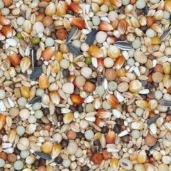 VERSELE-LAGA Versele Mauser Active Life 27,5kg Promo